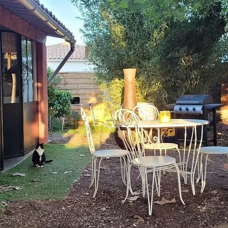 Le Cabanon Piscine Jacuzzi Sauna Paillote *