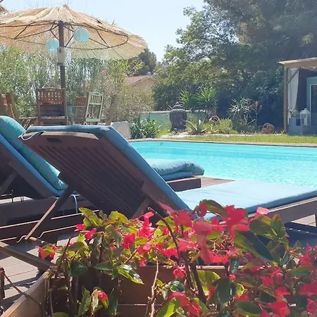 Le Cabanon Piscine Jacuzzi Sauna Paillote *